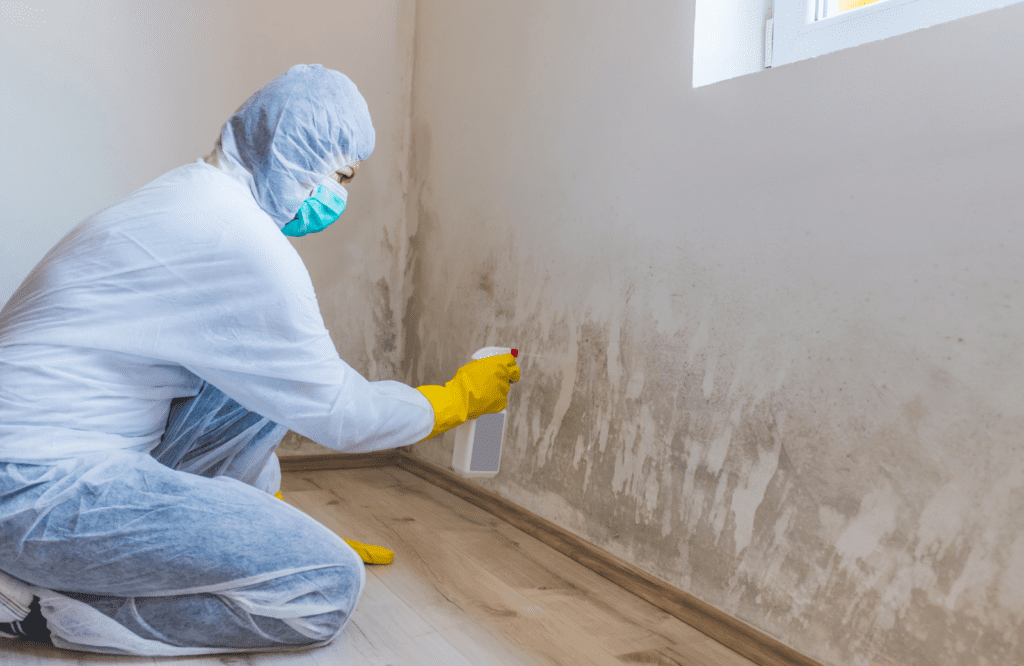 Man in White Hazmat suit spraying wall with mold