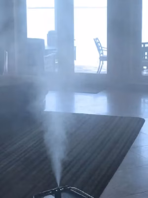 Dry Fog Remediation