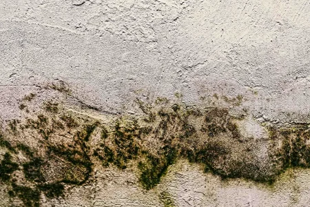 photo-wall-texture-pattern+1 photo-wall-texture-pattern+1